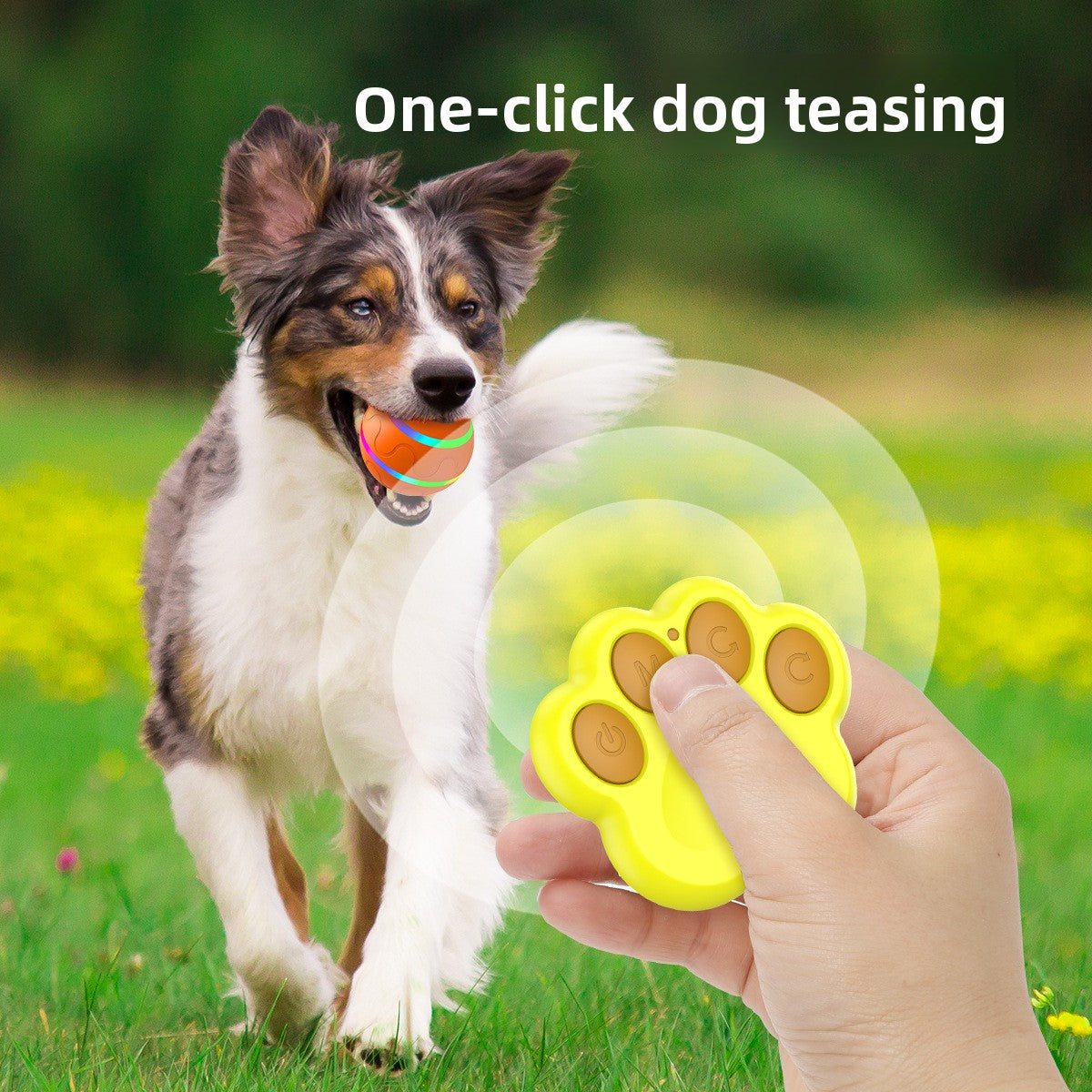 Interactive Electric Cat Toy Ball