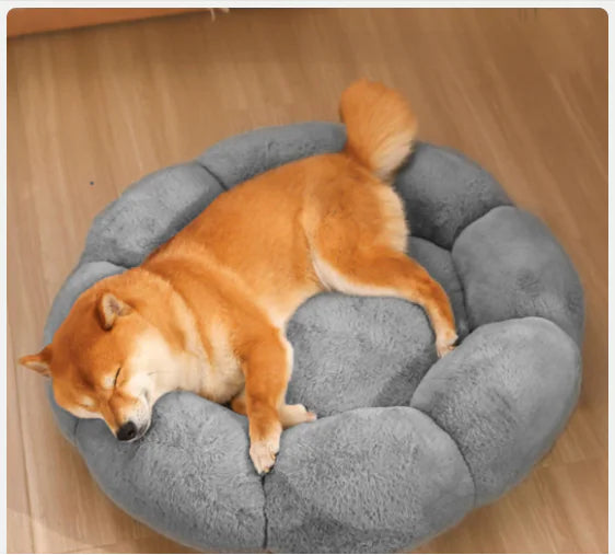 CloudNest Calming Bed – Soothing Support That Eases Anxiety & Deepens Sleep