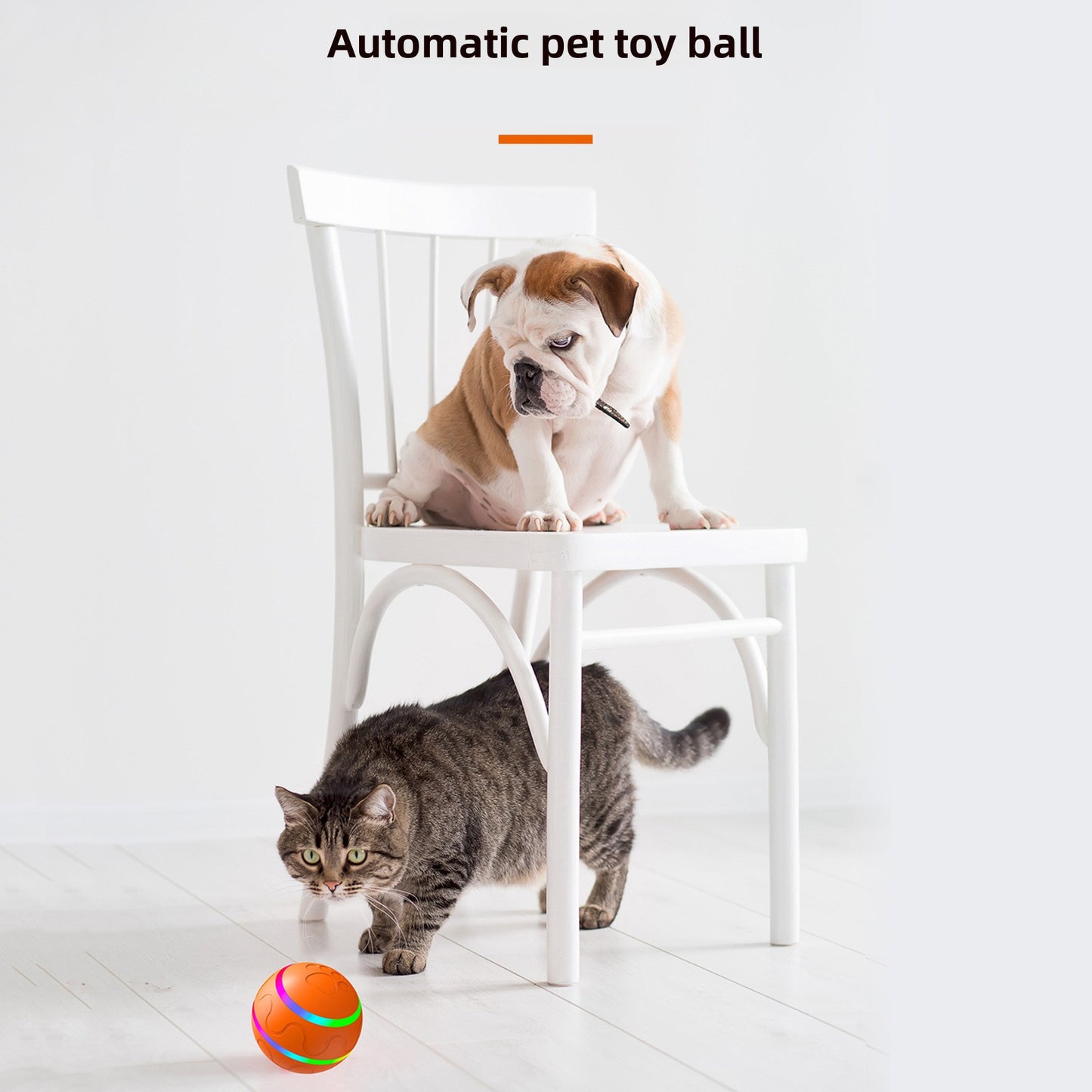 Interactive Electric Cat Toy Ball
