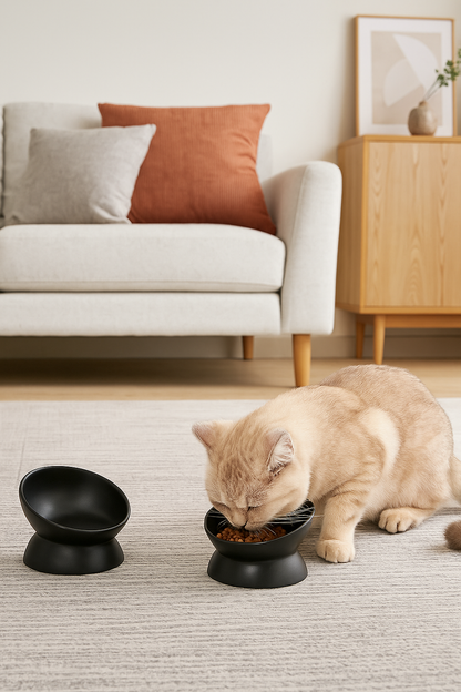NeckRelief Nibbler Cat Bowl – Protects the Spine While They Dine